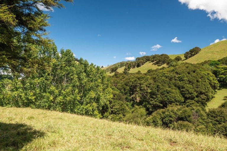 Photo of property in 49 Mangotahi Road, Thames, 3577