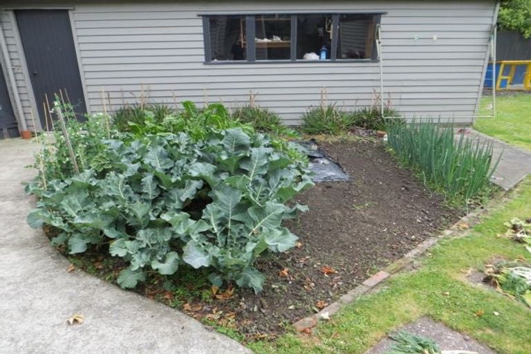 Photo of property in 374 College Street, Hokowhitu, Palmerston North, 4410