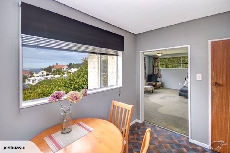 Photo of property in 103 Stafford Street, Dunedin Central, Dunedin, 9016