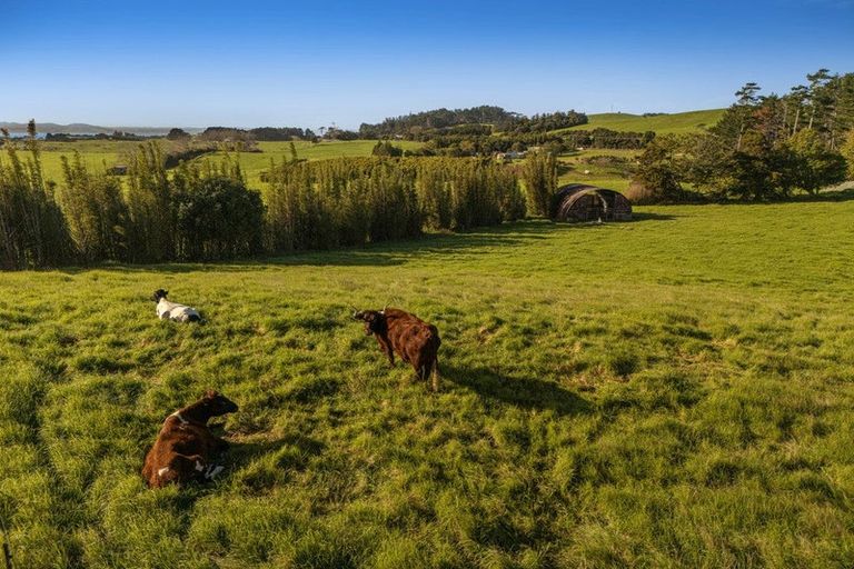 Photo of property in 2640 South Head Road, South Head, Helensville, 0874