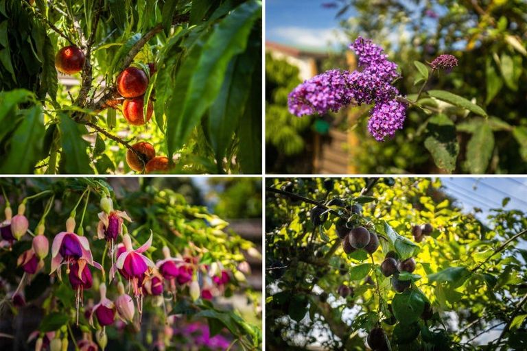 Photo of property in 65 Bignell Street, Gonville, Whanganui, 4501