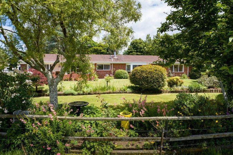 Photo of property in 113 Domain Road, Putaruru, 3482