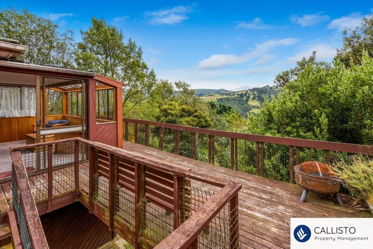 Photo of property in 213 Signal Hill Road, Opoho, Dunedin, 9010