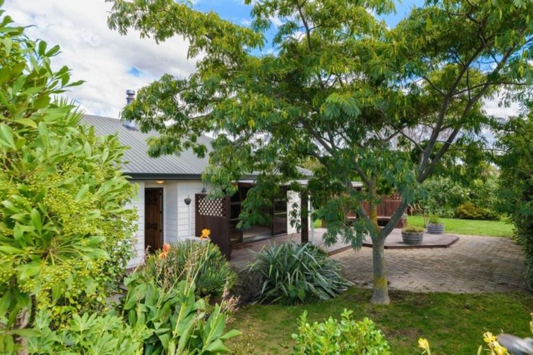 Photo of property in 17 Buick Street, Redwoodtown, Blenheim, 7201