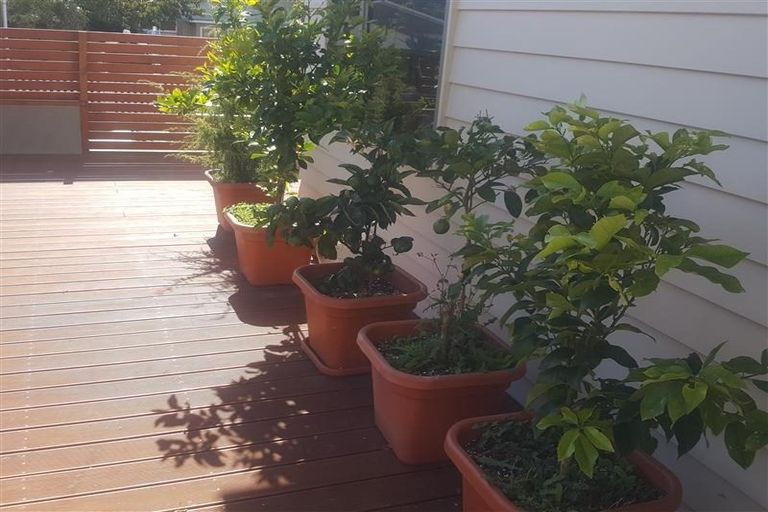 Photo of property in 15 Aubrey Street, New Plymouth, 4310