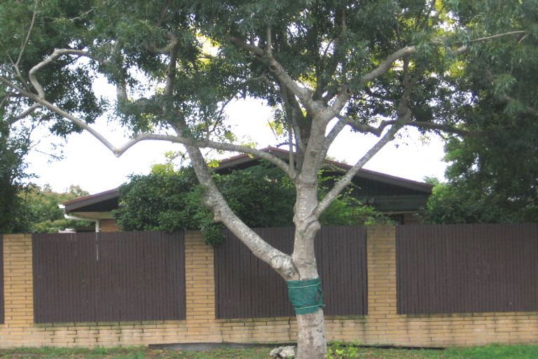 Photo of property in 61 Edmonton Road, Henderson, Auckland, 0612