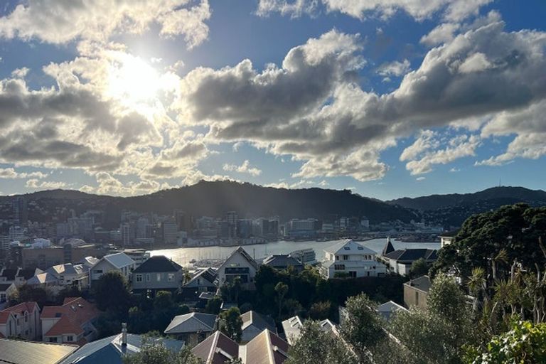 Photo of property in 5 Mcintyre Avenue, Mount Victoria, Wellington, 6011