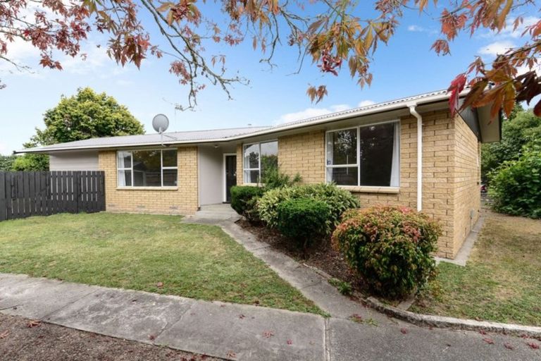 Photo of property in 13 Arthur Place, Chartwell, Hamilton, 3210