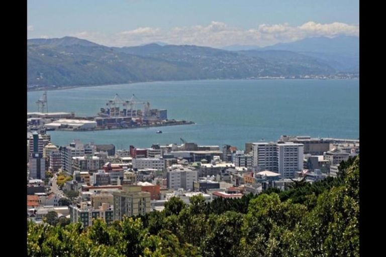 Photo of property in Manston Apartments, 3c/145 Ohiro Road, Brooklyn, Wellington, 6021