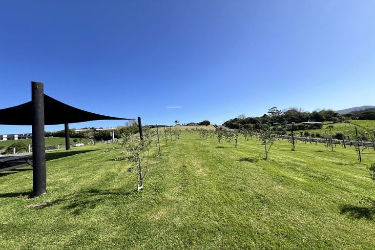 Photo of property in 367 King Road, Mangawhai, Kaiwaka, 0573