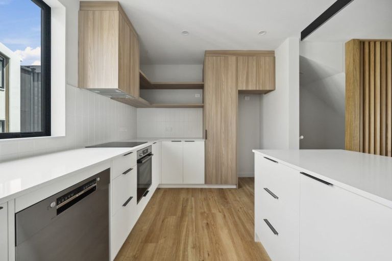 Photo of property in 25b Thompson Street, Mount Cook, Wellington, 6011