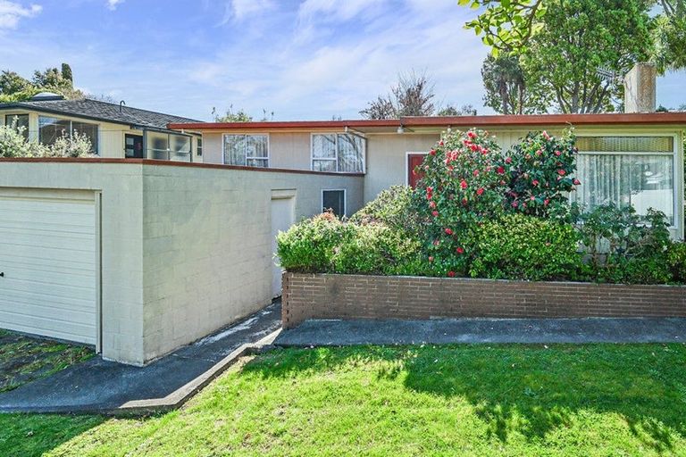 Photo of property in 41 Muritai Crescent, Havelock North, 4130