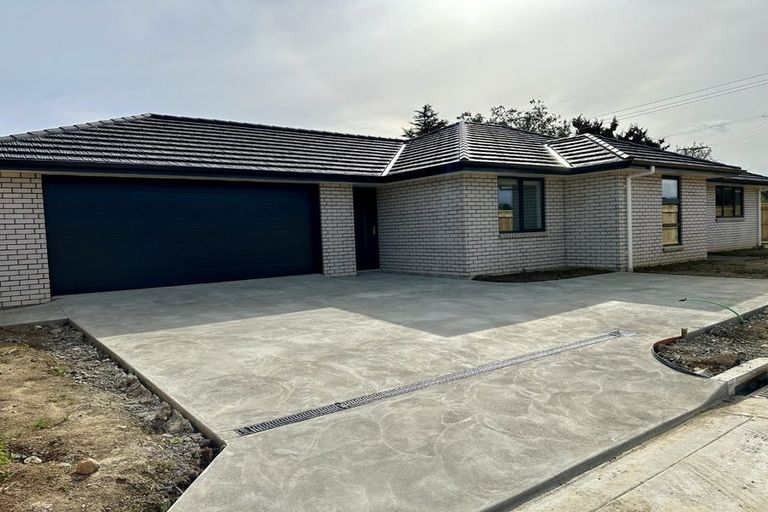 Photo of property in 24 Pahiki Crescent, Levin, 5510