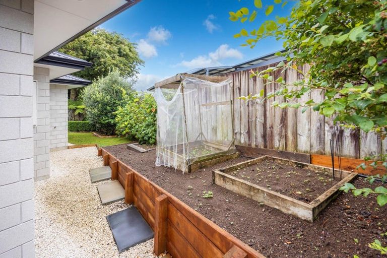Photo of property in 101 Te Tomo Street, Te Awamutu, 3800