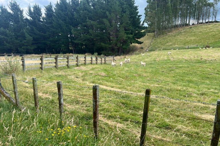 Photo of property in 183 Smith Road, Dannevirke, 4978