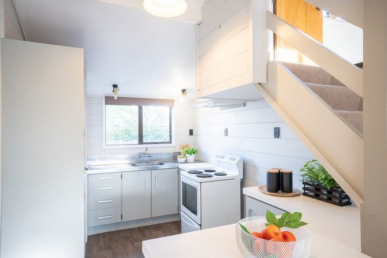 Photo of property in 66a Limbrick Street, Terrace End, Palmerston North, 4410