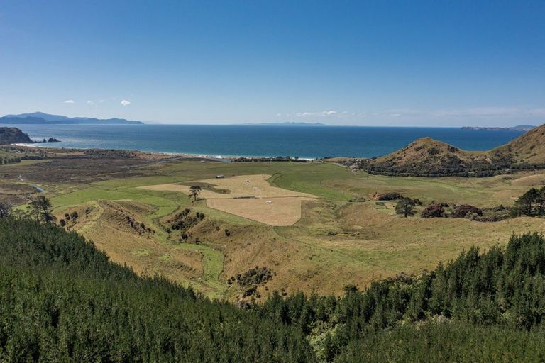 Photo of property in 550 Black Jack Road, Opito Bay, Whitianga, 3592