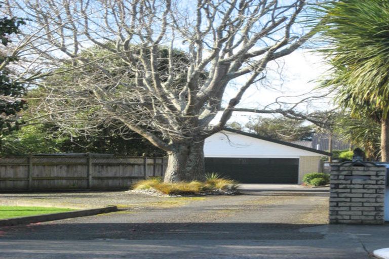 Photo of property in 87 Macarthur Street, Levin, 5510