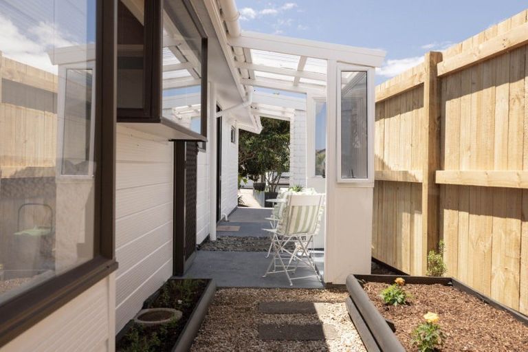 Photo of property in 66 Campbell Road, Mount Maunganui, 3116