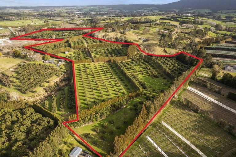 Photo of property in 44 Walker Road West, Aongatete, Katikati, 3178