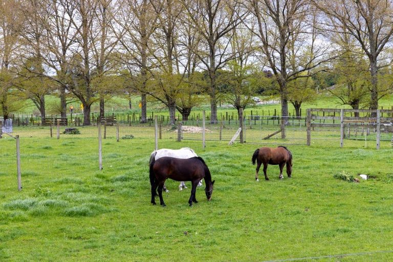 Photo of property in 4666 State Highway 1, Tokoroa, 3491
