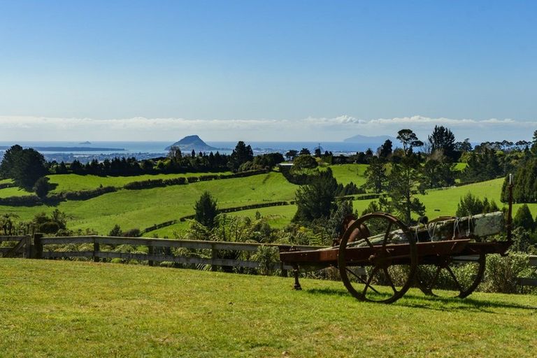 Photo of property in 11f Adrine Lane, Ohauiti, Tauranga, 3173