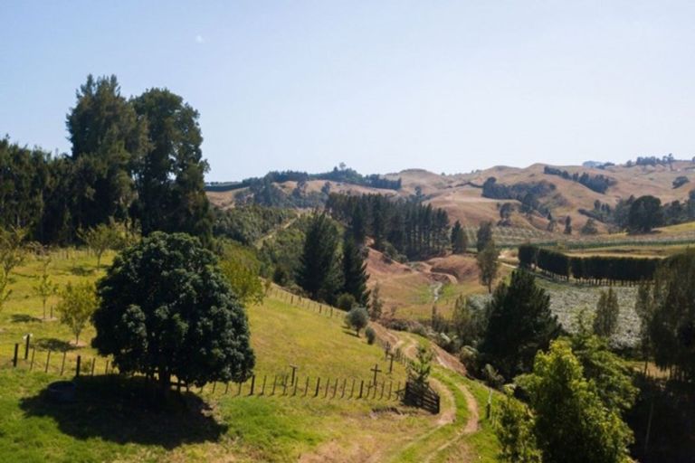 Photo of property in 45a Warner Road, Oropi, Tauranga, 3173