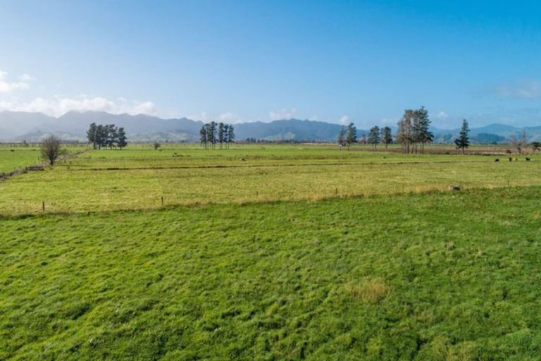 Photo of property in 65 Gumtown Road, Turua, Thames, 3574