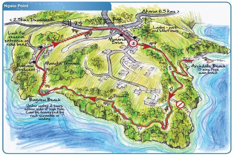 Photo of property in 4 Matai Lane, Robinsons Bay, 7581