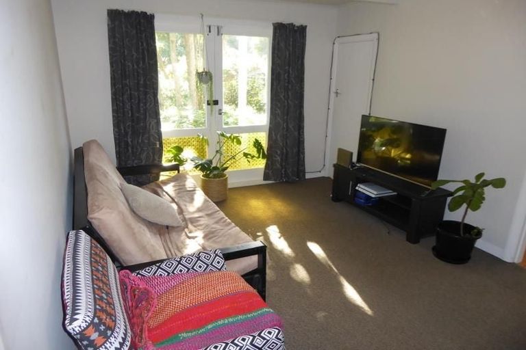 Photo of property in 51 Norway Street, Aro Valley, Wellington, 6012