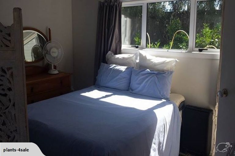 Photo of property in 22a Heath Street, St Andrews, Hamilton, 3200