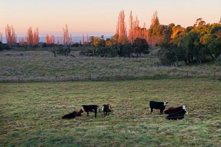 Photo of property in 121 Lovers Lane, Hapuku, Kaikoura, 7371