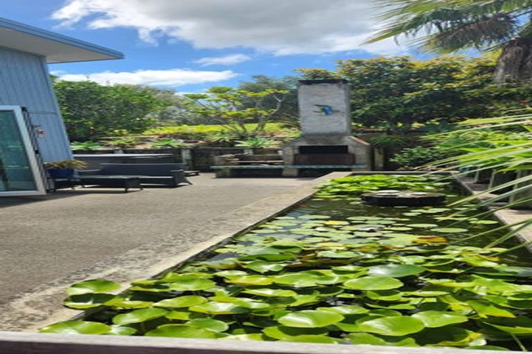 Photo of property in 50 Atkin Road, Mangawhai, Kaiwaka, 0573