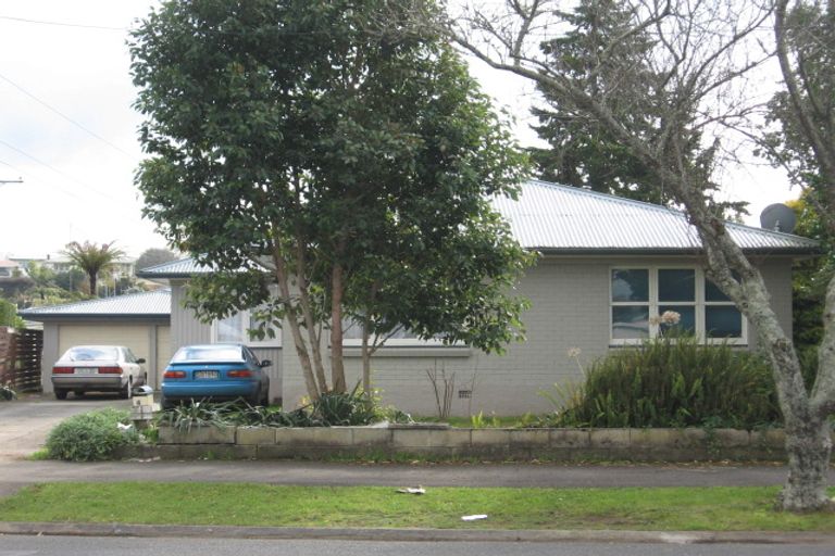 Photo of property in 49 Carrington Avenue, Hillcrest, Hamilton, 3216