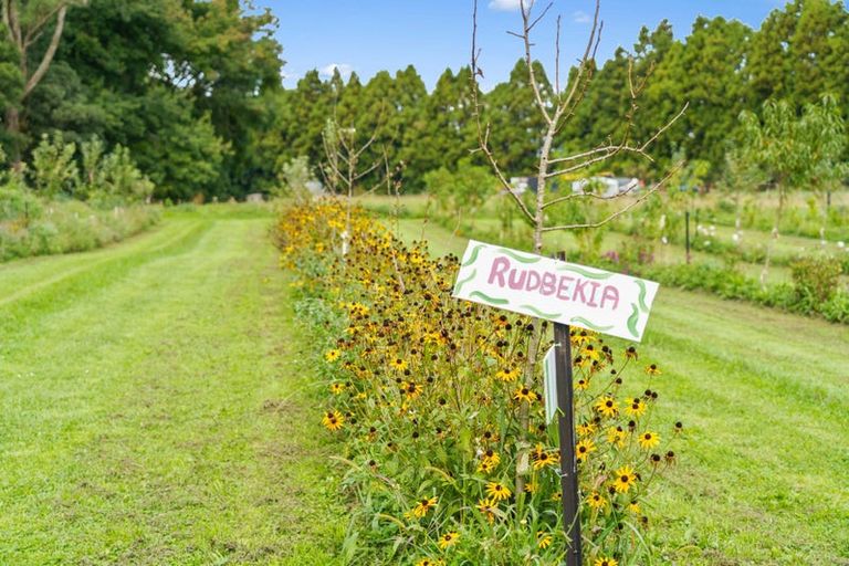 Photo of property in 288 Oropi Gorge Road, Oropi, Tauranga, 3173