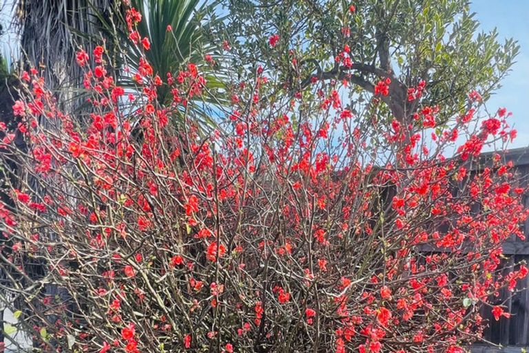 Photo of property in 168 Condell Avenue, Papanui, Christchurch, 8053