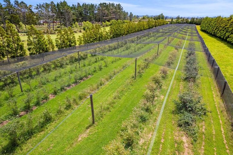 Photo of property in 438 Alfred Road, Kaimiro, New Plymouth, 4371