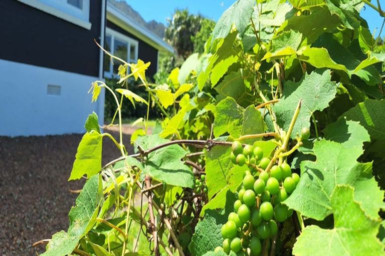 Photo of property in 4 Herbert Street, Te Aroha, 3320