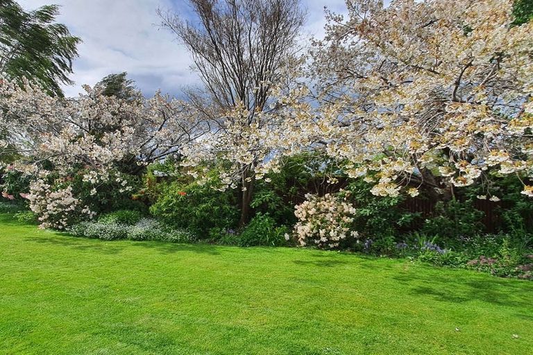Photo of property in 48 Allan Street, Waimate, 7924