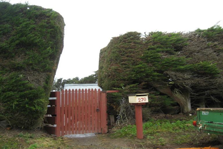 Photo of property in 270 Moulson Street, Tisbury, Invercargill, 9877