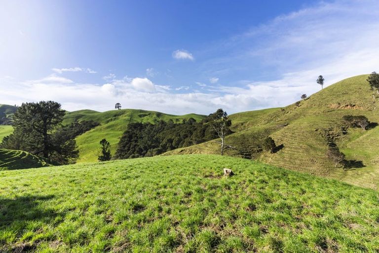 Photo of property in 309c Wentworth Valley Road, Whangamata, 3691