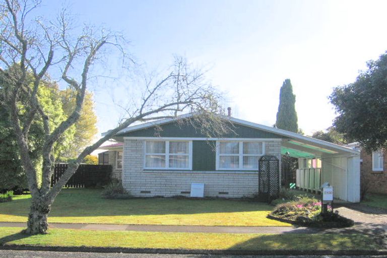 Photo of property in 13 Wake Street, Chartwell, Hamilton, 3210