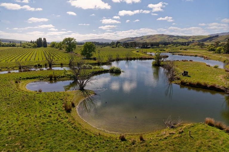 Photo of property in 35 Brighton Street, Island Bay, Wellington, 6023