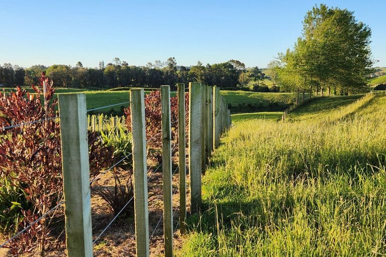 Photo of property in 369 Tarata Road, Norfolk, 4387