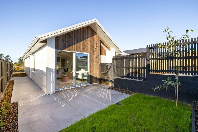 Photo of property in 25 Lumino Terrace, Peacocke, 3206