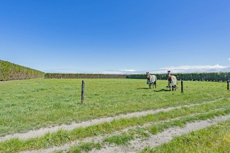 Photo of property in 181 Andersons Road, Leeston, 7682