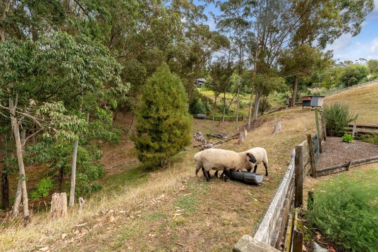 Photo of property in 17 Hayley Lane, East Tamaki Heights, Auckland, 2016