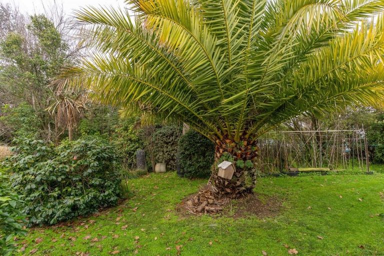 Photo of property in 64 Hillcrest Street, Solway, Masterton, 5810