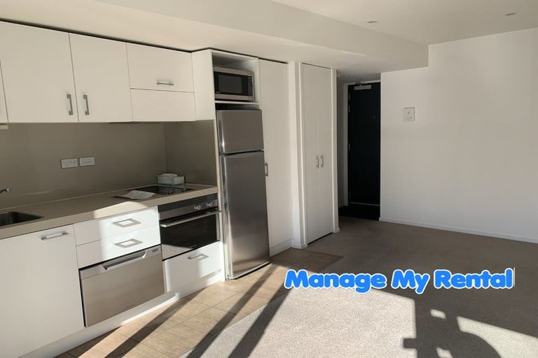 Photo of property in Soho Apartments, 113/74 Taranaki Street, Te Aro, Wellington, 6011