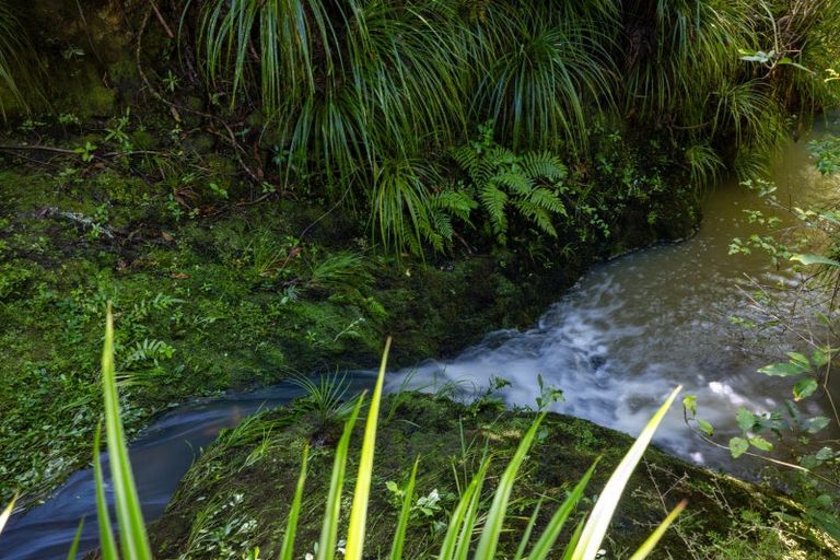 Photo of property in 12 Albro Lane, Algies Bay, Warkworth, 0920